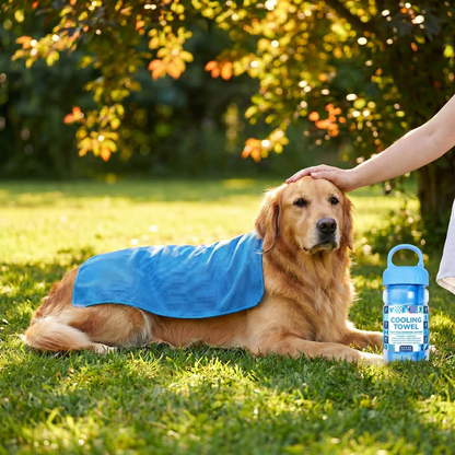 👉 Save 50%🔥Absorbent Quick-Drying Gym Cooling Towels🧊