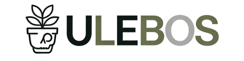Ulebos