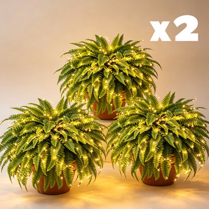 🔥 Newly Upgraded🔥Oversized Pre-Lit Artificial Boston Ferns --No watering, No fading