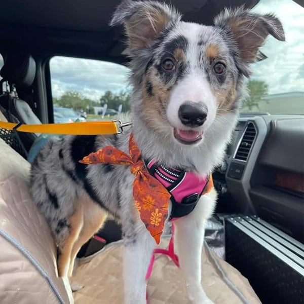 2-in-1 Dog Car Seat Belt& Walking Leash