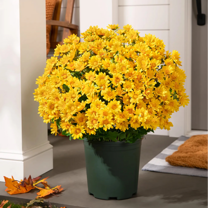 💐2026 Spring Hot Sale💥- Artificial Outdoor Sunset Mums Flowers - UV resistant, Waterproof, Windproof