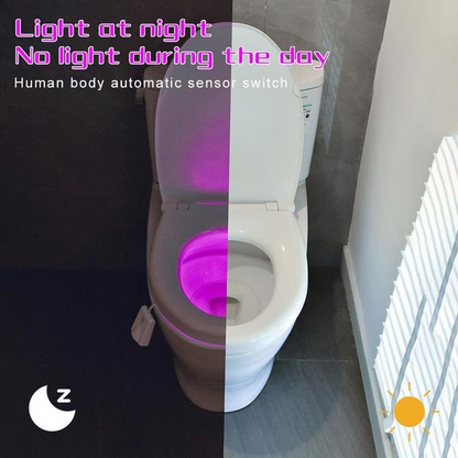 Motion Sensor Toilet Lights