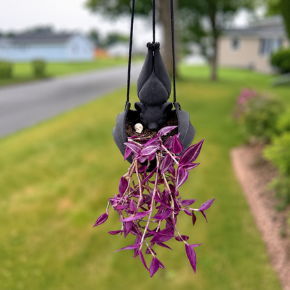 Hanging Bat Plant Pot