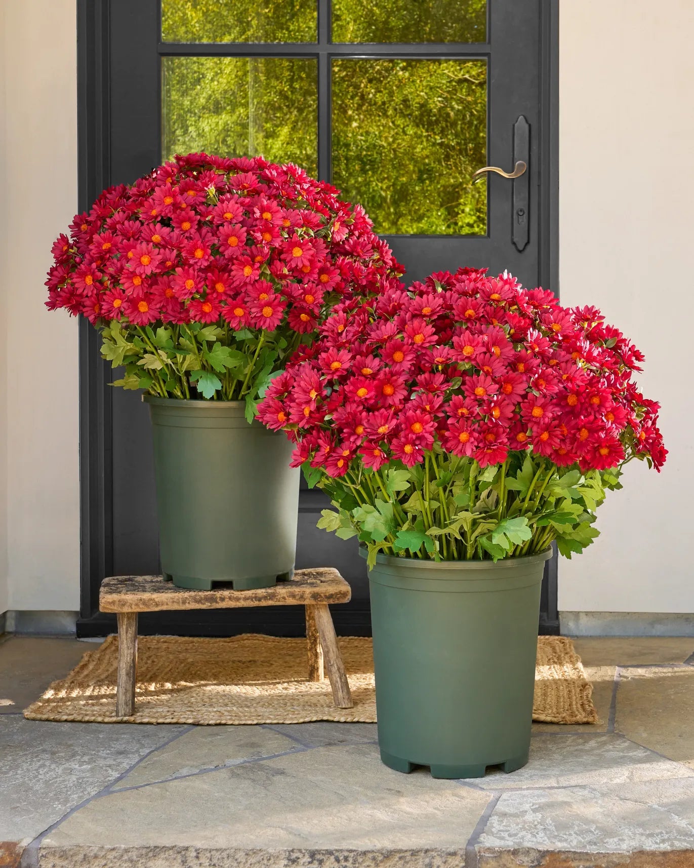 💐2026 Spring Hot Sale💥- Artificial Outdoor Sunset Mums Flowers - UV resistant, Waterproof, Windproof