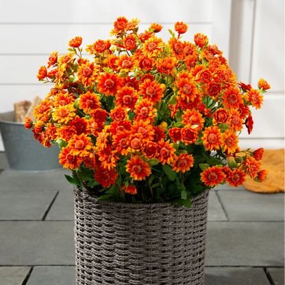 💐2026 Spring Hot Sale💥- Artificial Outdoor Sunset Mums Flowers - UV resistant, Waterproof, Windproof
