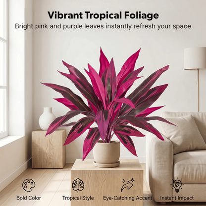 🔥2026 Hot Sale🔥Large Artificial Boston Fern & Dragon’s Blood Tree Plants