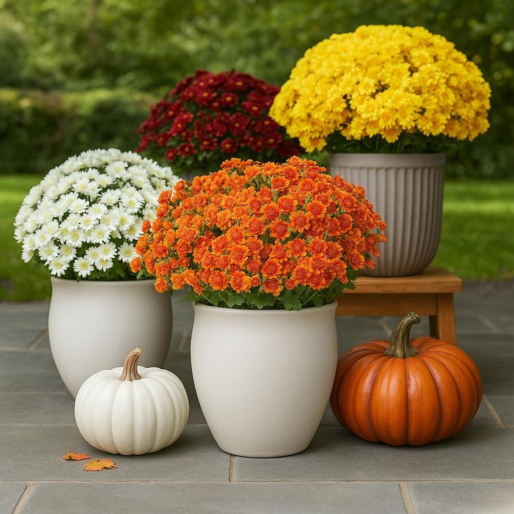 💐2026 Spring Hot Sale💥- Artificial Outdoor Sunset Mums Flowers - UV resistant, Waterproof, Windproof
